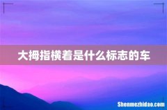 大拇指横着是什么标志的车