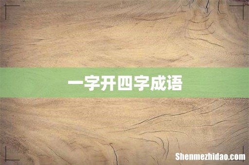 一字开四字成语