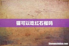 猫可以吃红石榴吗