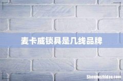 麦卡威锁具是几线品牌