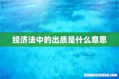 经济法中的出质是什么意思