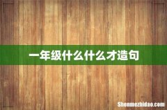 一年级什么什么才造句