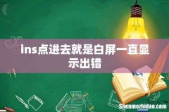 ins点进去就是白屏一直显示出错