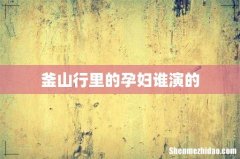 釜山行里的孕妇谁演的