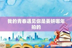 我的青春遇见你是姜妍哪年拍的