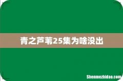 青之芦苇25集为啥没出