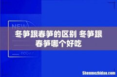 冬笋跟春笋的区别 冬笋跟春笋哪个好吃