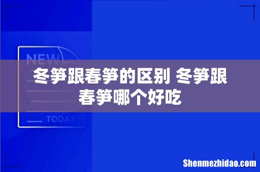 冬笋跟春笋的区别 冬笋跟春笋哪个好吃