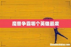 魔兽争霸哪个英雄最废