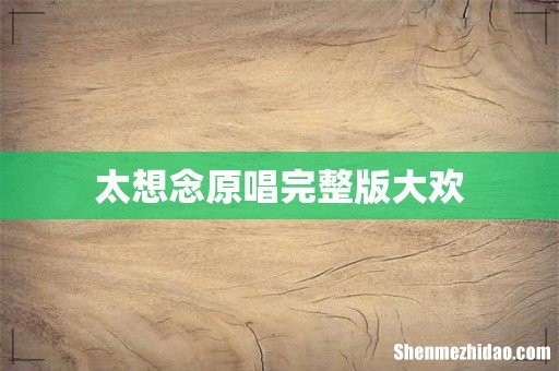 太想念原唱完整版大欢