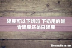 豌豆可以下奶吗 下奶用的是青豌豆还是白豌豆