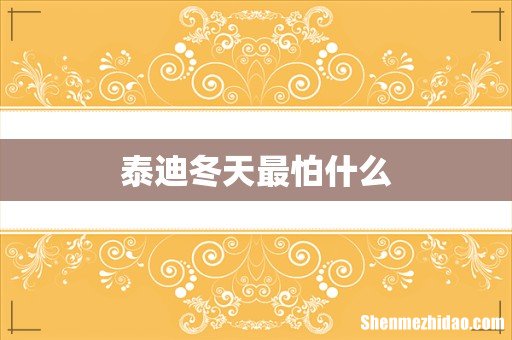泰迪冬天最怕什么
