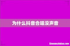 为什么抖音合唱没声音