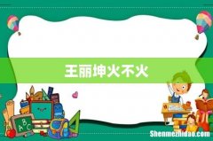 王丽坤火不火