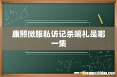 康熙微服私访记杀噶礼是哪一集