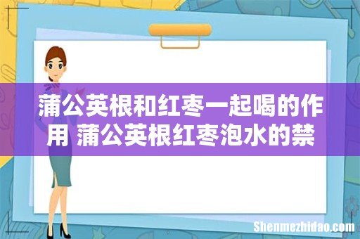 蒲公英根和红枣一起喝的作用 蒲公英根红枣泡水的禁忌