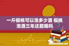 一斤樱桃可以泡多少酒 樱桃泡酒三年还能喝吗