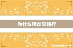为什么猛虎总独行