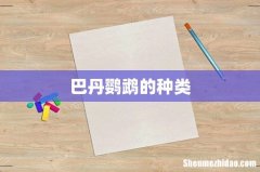 巴丹鹦鹉的种类