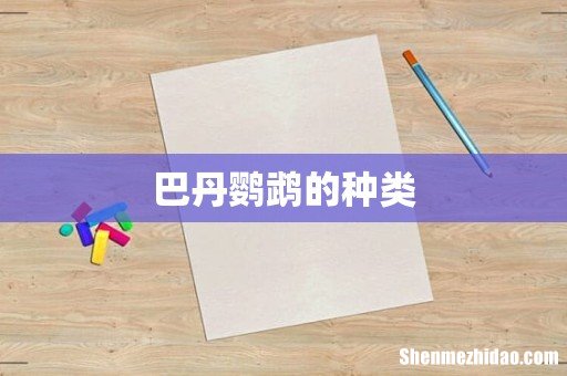 巴丹鹦鹉的种类