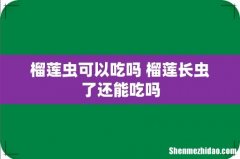 榴莲虫可以吃吗 榴莲长虫了还能吃吗
