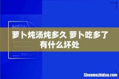 萝卜炖汤炖多久 萝卜吃多了有什么坏处