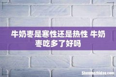 牛奶枣是寒性还是热性 牛奶枣吃多了好吗