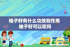 柚子籽有什么功效和作用 柚子籽可以吃吗