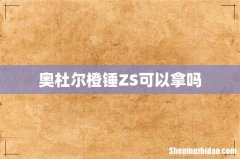 奥杜尔橙锤ZS可以拿吗