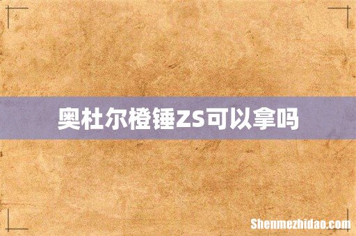 奥杜尔橙锤ZS可以拿吗