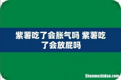 紫薯吃了会胀气吗 紫薯吃了会放屁吗