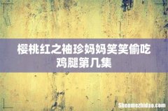 樱桃红之袖珍妈妈笑笑偷吃鸡腿第几集
