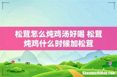 松茸怎么炖鸡汤好喝 松茸炖鸡什么时候加松茸