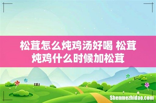 松茸怎么炖鸡汤好喝 松茸炖鸡什么时候加松茸