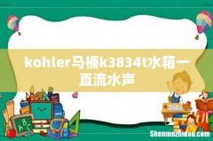 kohler马桶k3834t水箱一直流水声