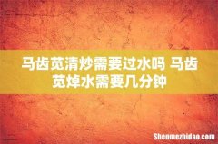 马齿苋清炒需要过水吗 马齿苋焯水需要几分钟