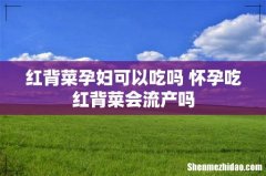 红背菜孕妇可以吃吗 怀孕吃红背菜会流产吗