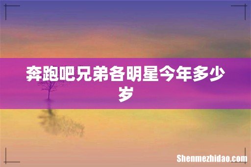 奔跑吧兄弟各明星今年多少岁