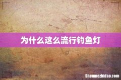 为什么这么流行钓鱼灯