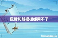 鼠标和触摸板都用不了
