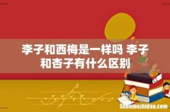 李子和西梅是一样吗 李子和杏子有什么区别