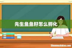 先生鱼鱼籽怎么孵化