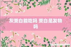 灰茭白能吃吗 茭白是发物吗