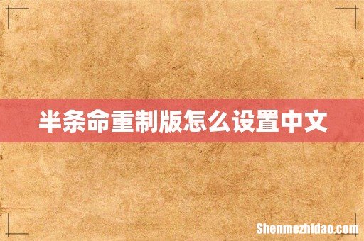 半条命重制版怎么设置中文