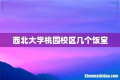 西北大学桃园校区几个饭堂