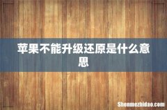 苹果不能升级还原是什么意思