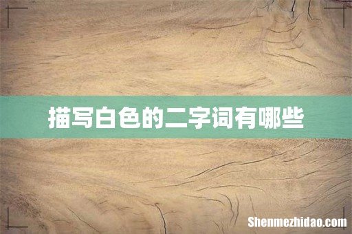 描写白色的二字词有哪些