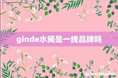 ginde水阀是一线品牌吗