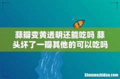 蒜瓣变黄透明还能吃吗 蒜头坏了一瓣其他的可以吃吗