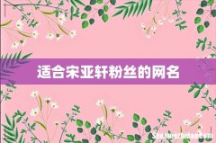 适合宋亚轩粉丝的网名